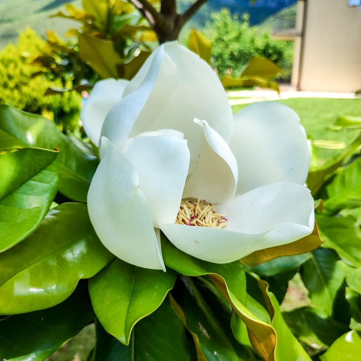 Villa, Pool And Relax For 12 Persons Kuti Ngoại thất bức ảnh